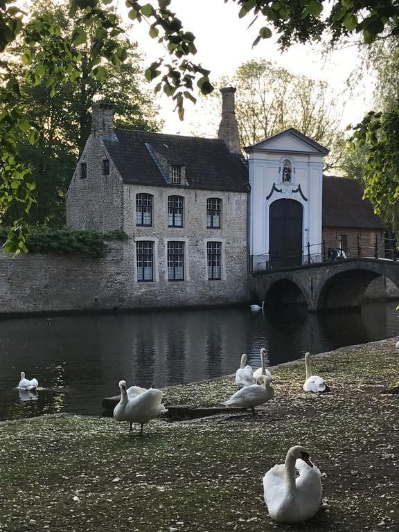 Odevaere - Charming & Luxurious Apartment With Terrace Bruges Exterior foto